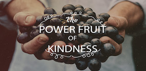 The Power Fruit of Kindness